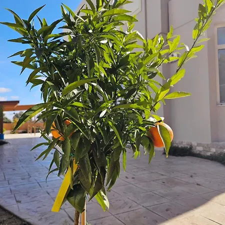 Aeon Rhodes - New With Private Pool Родос