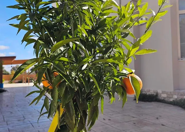 Aeon Rhodes - New With Private Pool Rhodes City